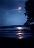 Bluemoon
