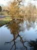 Reflection